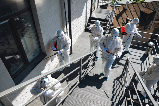 Best Attic Mold Removal  in Pine Ridge, FL